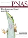 Donihue, C.M., A. Kowaleski, J.B. Losos, A. Algar, S. Baeckens, R.W. Buchkowski, A.-C. Fabre, H.K. Frank, A.J. Geneva1, R.G. Reynolds, J.T. Stroud, J.A. Velasco, J.J. Kolbe, D.L. Mahler and A. Herrel

(2020) Hurricane effects on neotropical lizards span geographic and phylogenetic scales. Proc. Natl. Acad. Sci. 117: 10429-10434.